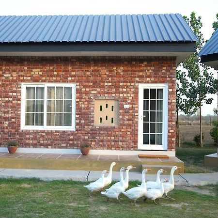 Rustic Roots Farm Stay Attari 外观 照片