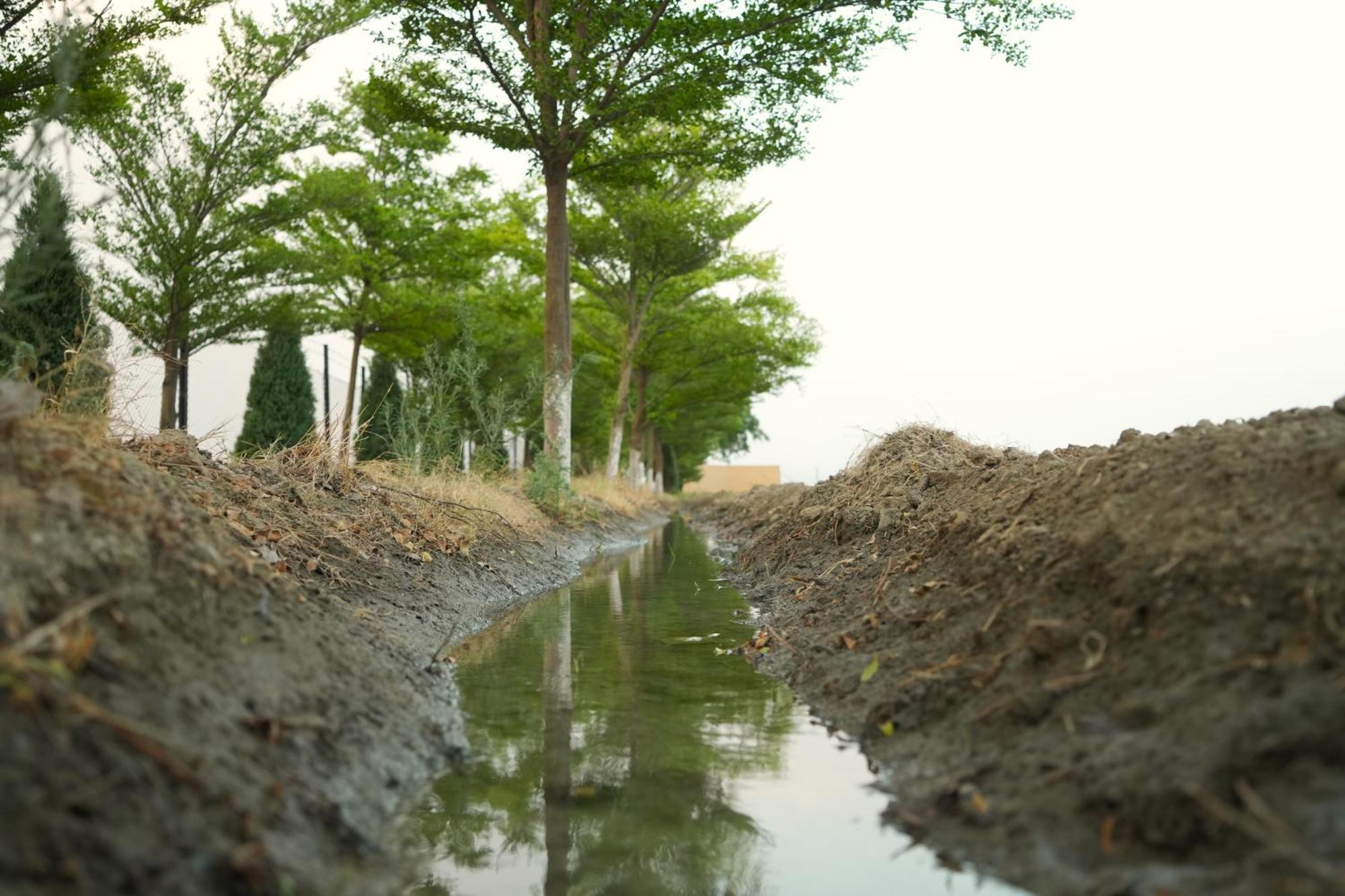 Rustic Roots Farm Stay Attari 外观 照片
